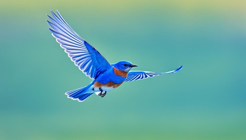 bluebird totem animal